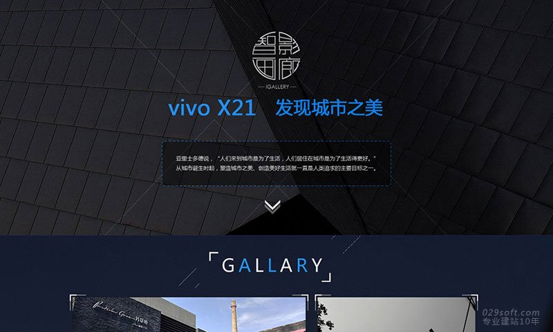 vivo X21-智影画廊专题